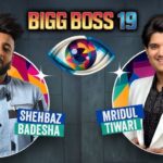 bigg boss 19 vote shehbaz vs mridul